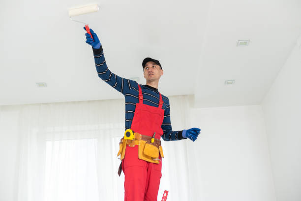 Best Fire-Damaged Drywall Repair  in USA